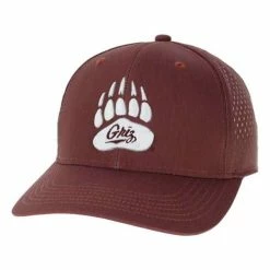 Wholesale 🤩 College Hats & Caps Legacy Montana Grizzlies Melon Hat 💯